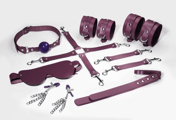 Набор Feral Feelings BDSM Kit 7 Burgundy, наручники, поножи, коннектор, маска, паддл, кляп, зажимы